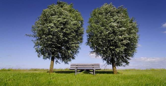 Couples Counselling in Alberta