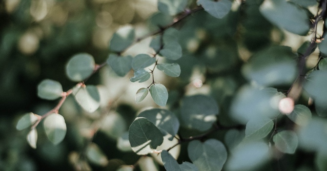 Counselling for Anxiety in Alberta